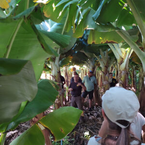programa de "Visitas formativas a fincas ecológicas de La Palma"