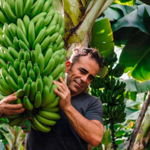plátano de canarias ecológico