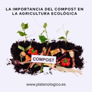 La importancia del compost en la agricultura ecológica