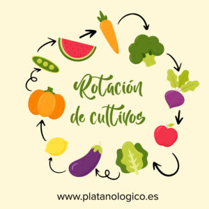 Rotación de cultivos